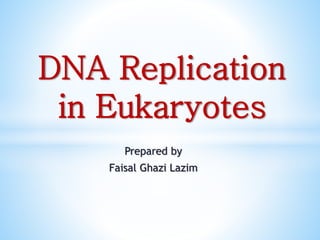 Prepared by
Faisal Ghazi Lazim
DNA Replication
in Eukaryotes
 