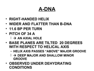 A-DNA
• RIGHT-HANDED HELIX
• WIDER AND FLATTER THAN B-DNA
• 11.6 BP PER TURN
• PITCH OF 34 A
  AN AXIAL HOLE
• BASE PLANES ARE TILTED 20 DEGREES
WITH RESPECT TO HELICAL AXIS
– HELIX AXIS PASSES “ABOVE” MAJOR GROOVE
  DEEP MAJOR AND SHALLOW MINOR
GROOVE
• OBSERVED UNDER DEHYDRATING
CONDITIONS
 