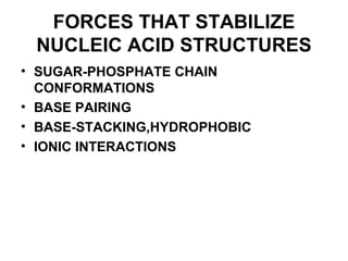 FORCES THAT STABILIZE
NUCLEIC ACID STRUCTURES
• SUGAR-PHOSPHATE CHAIN
CONFORMATIONS
• BASE PAIRING
• BASE-STACKING,HYDROPHOBIC
• IONIC INTERACTIONS
 