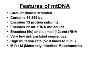 Features of mtDNA
• Circular,double stranded
• Contains 16,569 bp
• Encodes 13 protein subunits.
• Encodes 22 mt. tRNA molecules.
• Encodes(16s) and a small (12s)mt rRNA
• Very few untranslated sequences.
• High mutation rate (5-10 times to nucl.)
• M for M (Maternaly inherited Mitochondria)
 