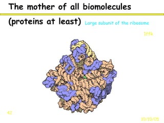 The mother of all biomolecules
10/10/05
42
1ffk
Large subunit of the ribosome(proteins at least)
 