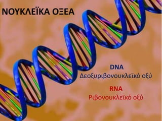 DNA
Δεοξυριβονουκλεϊκό οξύ
ΝΟΥΚΛΕΪΚΑ ΟΞΕΑ
RNA
Ριβονουκλεϊκό οξύ
 