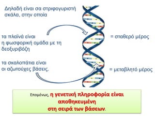 Δηλαδή είναι σα στριφογυριστή
σκάλα, στην οποία
τα πλαϊνά είναι
η φωσφορική ομάδα με τη
δεοξυριβόζη
τα σκαλοπάτια είναι
οι αζωτούχες βάσεις.
= σταθερό μέρος
= μεταβλητό μέρος
Επομένως, η γενετική πληροφορία είναι
αποθηκευμένη
στη σειρά των βάσεων.
 