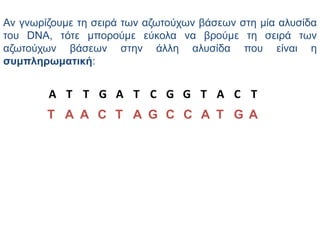 Αν γνωρίζουμε τη σειρά των αζωτούχων βάσεων στη μία αλυσίδα
του DNA, τότε μπορούμε εύκολα να βρούμε τη σειρά των
αζωτούχων βάσεων στην άλλη αλυσίδα που είναι η
συμπληρωματική:
A T T G A T C G G T A C T
T A A C T A G C C A T G A
 