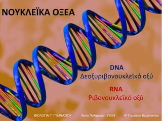 DNA Δεοξυριβονουκλεϊκό οξύ ΝΟΥΚΛΕΪΚΑ ΟΞΕΑ RNA Ριβονουκλεϊκό οξύ ΒΙΟΛΟΓΙΑ Γ΄ ΓΥΜΝΑΣΙΟΥ  Άννα Πυλαρινού  ΠΕ04  4 Ο  Γυμνάσιο Κερατσινίου  