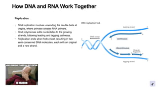DNA-RNA-PPT 01.pptx