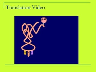 Translation Video 