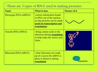 -There are 3 types of RNA used in making proteins: -what ribosomes are made up of; it gives the mRNA a place to attach to during  translation Ribosomal RNA (rRNA) -brings amino acids to the ribosome during  translation  to help make the amino acid chain Transfer RNA (tRNA) -carries information found in DNA out of the nucleus so that proteins can be made  (used in transcription and translation) Messenger RNA (mRNA) Picture of it What it does Name Ribosome 