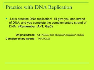 Practice with DNA Replication -Let’s practice DNA replication!  I’ll give you one strand of DNA, and you complete the complementary strand of DNA.  (Remember, A=T, G = C) Original Strand:  ATTAGGCTATTGACGATAGCCATGGA Complementary Strand:  TAATCCG 