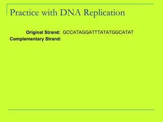 Practice with DNA Replication Original Strand:  GCCATAGGATTTATATGGCATAT Complementary Strand:   