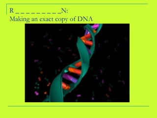 R _ _ _ _ _ _ _ _ _N: Making an exact copy of DNA 