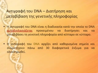Αντιγραφή του DNA – Διατήρηση και
  μεταβίβαση της γενετικής πληροφορίας

• Η αντιγραφή του DNA είναι η διαδικασία κατά την οποία το DNA
  αυτοδιπλασιάζεται προκειμένου να διατήρησει και να
  μεταβιβάσει τη γενετική πληροφορία από κύτταρο σε κύτταρο.

• Η αντιγραφή του DNA αρχίζει από καθορισμένα σημεία και
  συμμετέχουν πάνω από 30 διαφορετικά ένζυμα για να
  ολοκληρωθεί.
 