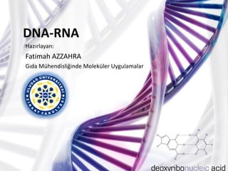 DNA-RNA 
Hazırlayan: 
Fatimah AZZAHRA 
GıdaMühendisliğinde Moleküler Uygulamalar  