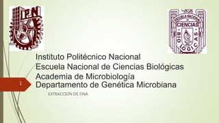 Instituto Politécnico Nacional
Escuela Nacional de Ciencias Biológicas
Academia de Microbiología
Departamento de Genética Microbiana
EXTRACCION DE DNA
1
 