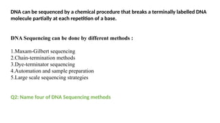 Dna Sequence Data File Dna-sequencing data from www-presentation2 (1).pptx
