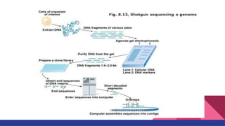 Comprehensive Overview of DNA Sequencing Techniques and Applications | PPTX