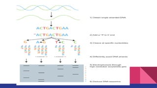 Comprehensive Overview of DNA Sequencing Techniques and Applications | PPTX