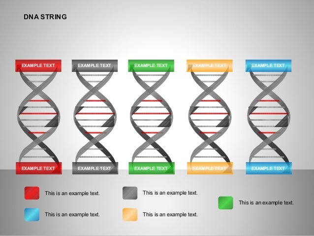 DNA Strand Diagram for PowerPoint