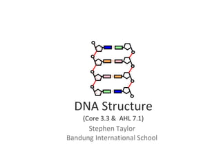 DNA Structure (core and AHL)