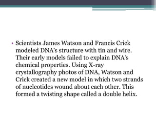 • Scientists James Watson and Francis Crick
  modeled DNA's structure with tin and wire.
  Their early models failed to explain DNA's
  chemical properties. Using X-ray
  crystallography photos of DNA, Watson and
  Crick created a new model in which two strands
  of nucleotides wound about each other. This
  formed a twisting shape called a double helix.
 