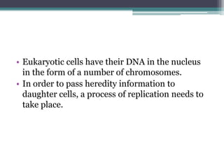 • Eukaryotic cells have their DNA in the nucleus
  in the form of a number of chromosomes.
• In order to pass heredity information to
  daughter cells, a process of replication needs to
  take place.
 