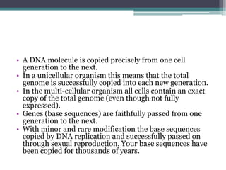 • A DNA molecule is copied precisely from one cell
  generation to the next.
• In a unicellular organism this means that the total
  genome is successfully copied into each new generation.
• In the multi-cellular organism all cells contain an exact
  copy of the total genome (even though not fully
  expressed).
• Genes (base sequences) are faithfully passed from one
  generation to the next.
• With minor and rare modification the base sequences
  copied by DNA replication and successfully passed on
  through sexual reproduction. Your base sequences have
  been copied for thousands of years.
 