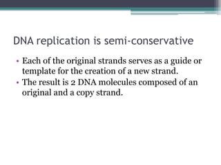 DNA replication is semi-conservative
• Each of the original strands serves as a guide or
  template for the creation of a new strand.
• The result is 2 DNA molecules composed of an
  original and a copy strand.
 