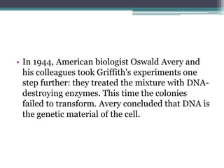 • In 1944, American biologist Oswald Avery and
  his colleagues took Griffith's experiments one
  step further: they treated the mixture with DNA-
  destroying enzymes. This time the colonies
  failed to transform. Avery concluded that DNA is
  the genetic material of the cell.
 