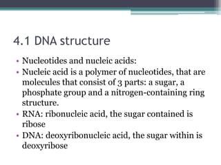 4.1 DNA structure
• Nucleotides and nucleic acids:
• Nucleic acid is a polymer of nucleotides, that are
  molecules that consist of 3 parts: a sugar, a
  phosphate group and a nitrogen-containing ring
  structure.
• RNA: ribonucleic acid, the sugar contained is
  ribose
• DNA: deoxyribonucleic acid, the sugar within is
  deoxyribose
 