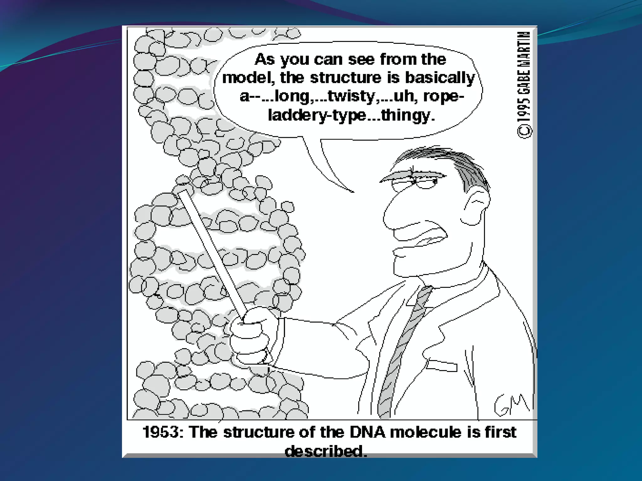 DNA-Structure-PPT (1).ppt