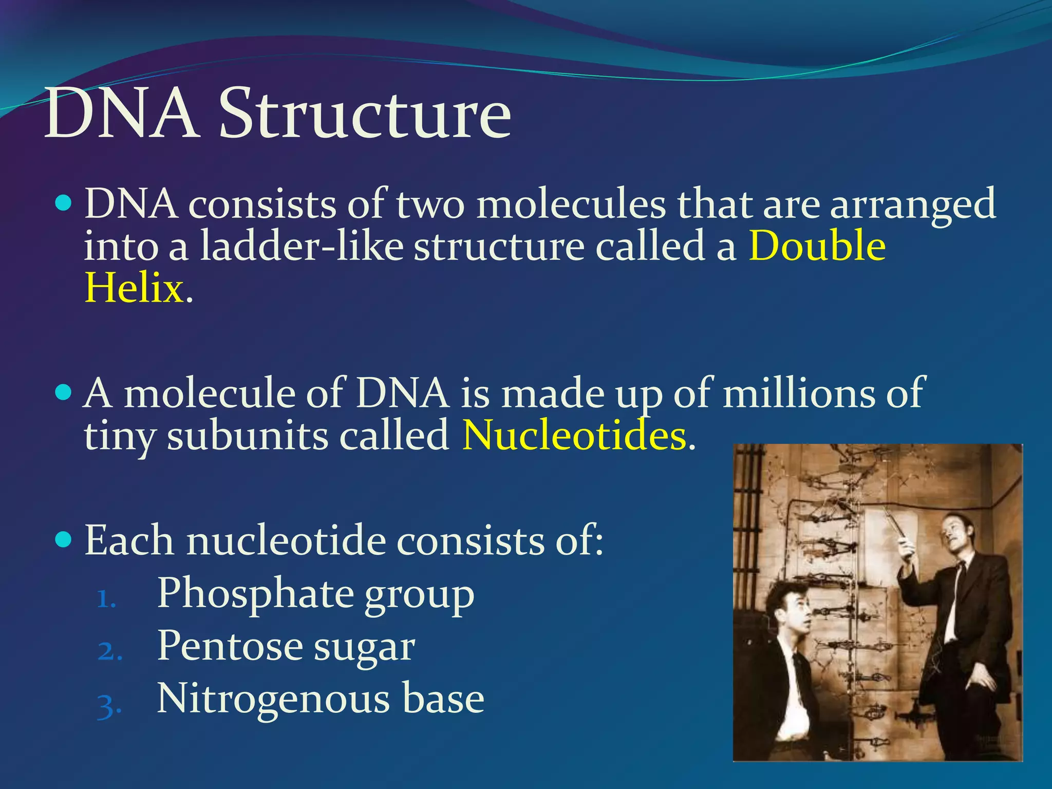 DNA Structure
 DNA consists of two molecules that are arranged
into a ladder-like structure called a Double
Helix.
 A molecule of DNA is made up of millions of
tiny subunits called Nucleotides.
 Each nucleotide consists of:
1. Phosphate group
2. Pentose sugar
3. Nitrogenous base
 