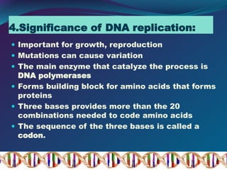 4.Significance of DNA replication:
 Important for growth, reproduction
 Mutations can cause variation
 The main enzyme that catalyze the process is
DNA polymerases
 Forms building block for amino acids that forms
proteins
 Three bases provides more than the 20
combinations needed to code amino acids
 The sequence of the three bases is called a
codon.
 