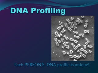 Each PERSON’S DNA profile is unique!
 