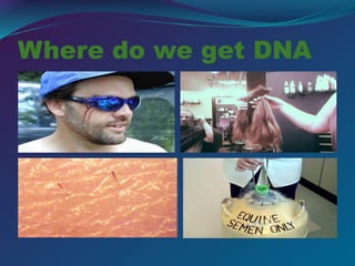 Where do we get DNA
 