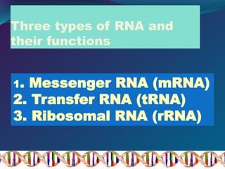 Three types of RNA and
their functions
1. Messenger RNA (mRNA)
2. Transfer RNA (tRNA)
3. Ribosomal RNA (rRNA)
 