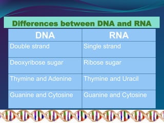 Differences between DNA and RNA
DNA RNA
Double strand Single strand
Deoxyribose sugar Ribose sugar
Thymine and Adenine Thymine and Uracil
Guanine and Cytosine Guanine and Cytosine
 