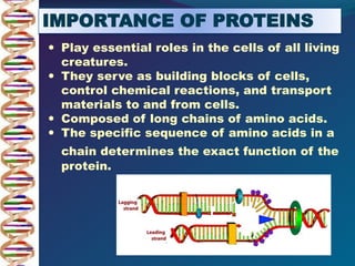  Play essential roles in the cells of all living
creatures.
 They serve as building blocks of cells,
control chemical reactions, and transport
materials to and from cells.
 Composed of long chains of amino acids.
 The specific sequence of amino acids in a
chain determines the exact function of the
protein.
IMPORTANCE OF PROTEINS
 