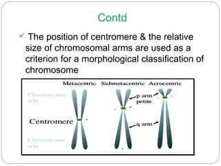 Contd
 The position of centromere & the relative
size of chromosomal arms are used as a
criterion for a morphological classification of
chromosome
 