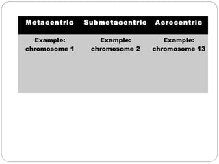 Metacentric Submetacentric Acrocentric
Example:
chromosome 1
Example:
chromosome 2
Example:
chromosome 13
 