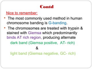 Contd
Nice to remember:
 The most commonly used method in human
chromosome banding is G-banding.
 The chromosomes are treated with trypsin &
stained with Giemsa which predominantly
binds AT rich region, producing alternate
dark band (Giemsa positive, AT- rich)
&
light band (Giemsa negative, GC- rich)
 