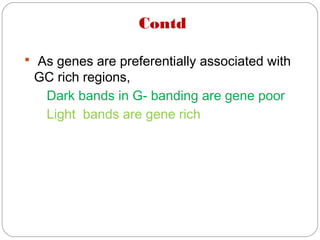 Contd
 As genes are preferentially associated with
GC rich regions,
Dark bands in G- banding are gene poor
Light bands are gene rich
 