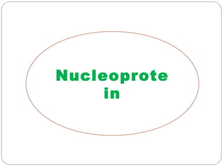 Nucleoprote
in
 
