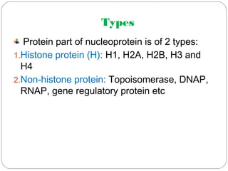 Types
Protein part of nucleoprotein is of 2 types:
1.Histone protein (H): H1, H2A, H2B, H3 and
H4
2.Non-histone protein: Topoisomerase, DNAP,
RNAP, gene regulatory protein etc
 