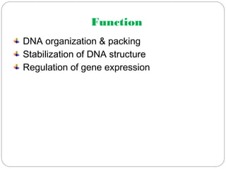 Function
DNA organization & packing
Stabilization of DNA structure
Regulation of gene expression
 