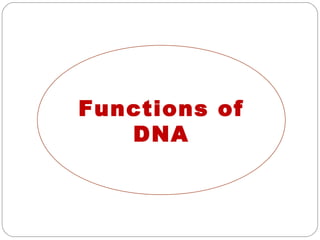 Functions of
DNA
 