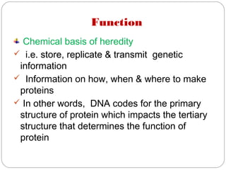 Function
Chemical basis of heredity
 i.e. store, replicate & transmit genetic
information
 Information on how, when & where to make
proteins
 In other words, DNA codes for the primary
structure of protein which impacts the tertiary
structure that determines the function of
protein
 
