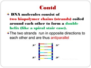 Contd
DNA molecules consist of
two biopolymer chains (strands) coiled
around each other to form a double
helix (like a spiral stair case).
The two strands run in opposite directions to
each other and are thus antiparallel
 