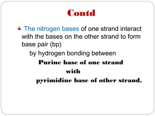 Contd
The nitrogen bases of one strand interact
with the bases on the other strand to form
base pair (bp)
by hydrogen bonding between
Purine base of one strand
with
pyrimidine base of other strand.
 