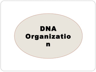 DNA
Organizatio
n
 