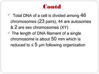Contd
 Total DNA of a cell is divided among 46
chromosomes (23 pairs), 44 are autosomes
& 2 are sex chromosomes (XY)
 The length of DNA filament of a single
chromosome is about 50 mm which is
reduced to ≤ 5 µm following organization
 